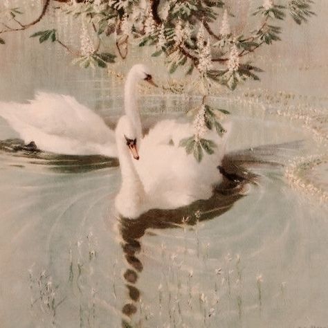 #swans #swanlake #aesthetic #aniamls Aphrodite Aesthetic, Seni Vintage, Princess Aesthetic, Romantic Art, Swan Lake, Ethereal Art, Just Dance, Swans, Green Aesthetic