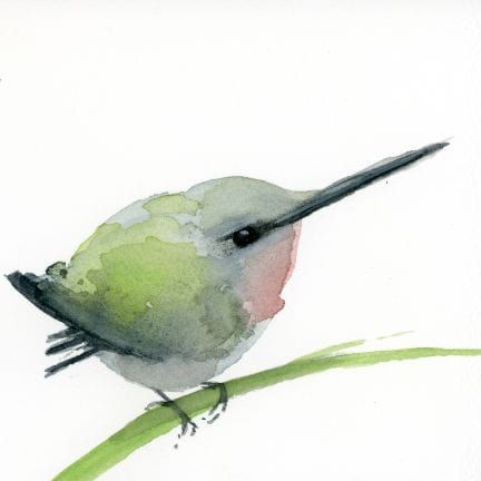 Fledgling Ruby-throated Hummingbird ~ Holly Wach ~ Baby Bird Watercolor Prints – Holly Wach Art Unique Watercolor Paintings Ideas, Water Colour Birds, Watercolor Birds Easy, Whimsical Watercolor Art, Hummingbird Watercolour, Watercolor Art Animals, Watercolor Hummingbirds, Turkey Watercolor, Simple Watercolor Paintings