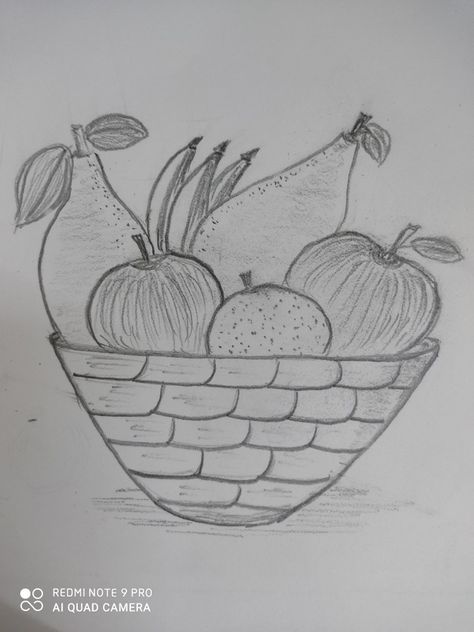 Pencil Sketch For customisation and pricing please email me on kaumudi.phadnis@gmail.com Drawing Fruit Basket Art, Fruit Basket Drawing, Drawing Fruit, Basket Art, Basket Drawing, Pencil Sketching, Sketches Pencil, Art Sketches Pencil, Fruit Basket