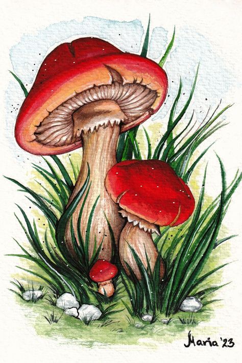 Mushrooms illustration, Digital copy, Watercolor children's illustration, Card, Handmade, Wall decor, Nursery art, Mushroom Drawing Detailed, Magical Mushroom Art, Mushroom Illustration Cute, Paintings Of Mushrooms, Canva Arts, Colorful Mushroom Art, Cute Mushroom Art, Drawing Mushrooms, Vintage Mushroom Art