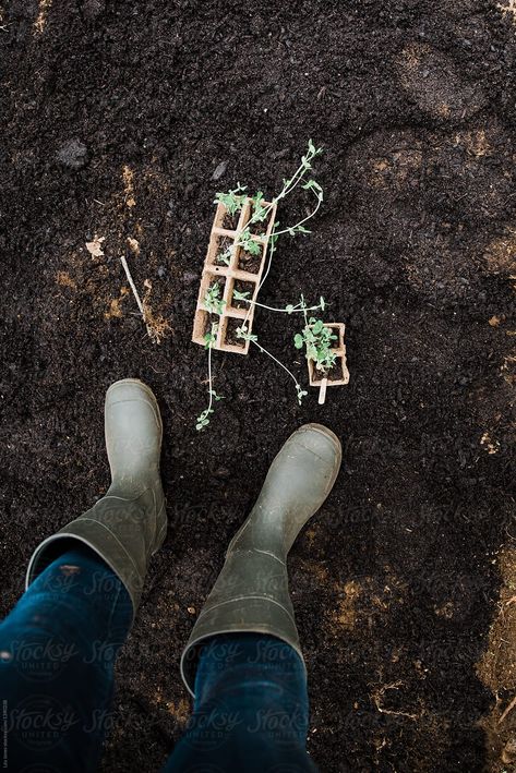 #Gardening #Boots With Little #Seedlings | #stocksyunited #spring #plant #green #yard #garden #stockphotography stock photo of gardening, stock photo of seedlings, gardening stock photography. Gardening Photos, Gardening Boots, Spring Planting, Planting Aesthetic, Gardening Aesthetic, Vegetable Garden Layout Design, Gardening Photography, Garden Boots, Over The Garden Wall