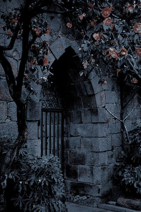 Fantasy World Forest, Background Fantasy, Medieval Aesthetic, Fairytale Aesthetic, Gothic Castle, Castle Aesthetic, Royalty Aesthetic, Royal Aesthetic, Dark Rose