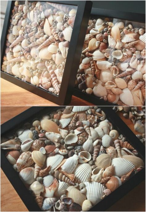 Seashell Shadow Boxes, Seashell Art Diy, Sea Shells Diy, Seashell Projects, Art Coquillage, Shells Diy, Shell Crafts Diy, Sea Crafts, Beach Diy