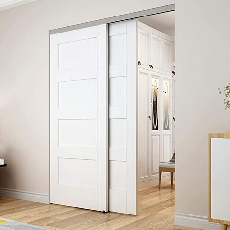 Closet door alternative