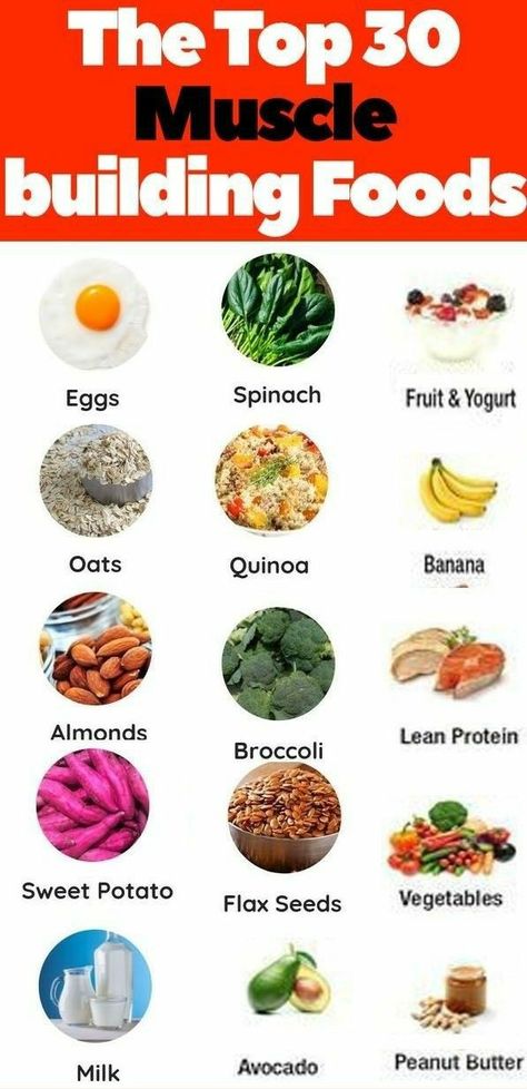 Muscle Gain Meal Plan, Bulking Meals, Healthy Weight Gain Foods, Food To Gain Muscle, Weight Gain Diet, Muscle Building Foods, Weight Gain Meals, Healthy High Protein Meals, Muscle Food