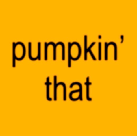 should we drop a new flavor or… Brat Autumn, Holiday Pfp, Autumn Pfp, Cold Face, Brat Summer, First Day Of Autumn, Playlist Covers Photos, Bee Movie, Fall Mood Board