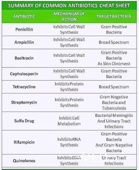 Common Antibiotics Antibiotics Cheat Sheet, Nursing Facts, Microbiology Study, Np School, Nursing Cheat, Nursing Information, Nurse School, Student Info, Vet Medicine