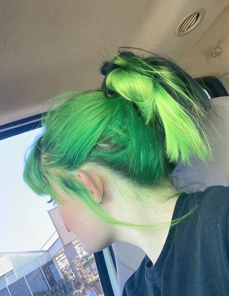 Green Hair Ponytail, 2000 Ideas, Hair Dye Inspiration, Monster Fashion, Messy Ponytail Hairstyles, Dye Inspiration, Danganronpa Oc, Hair Colour Inspo, Hair Spring