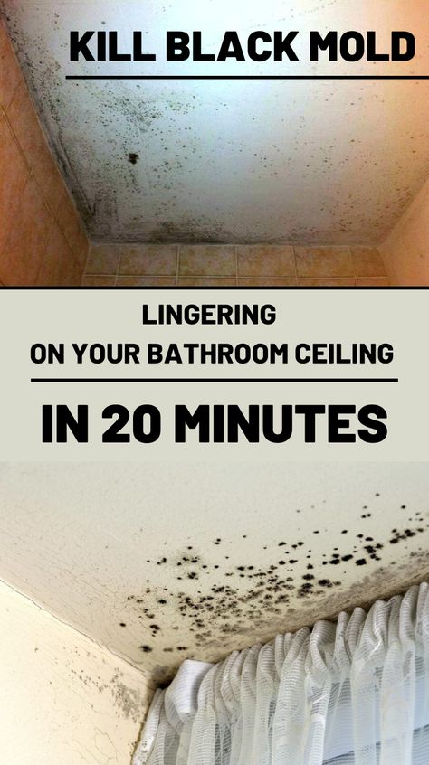 Bathroom Mold Cleaner, Cleaning Bathroom Mold, Mold On Bathroom Ceiling, Kill Black Mold, Clean Black Mold, Remove Black Mold, Black Mold, Mold In Bathroom, Cleaning Mold