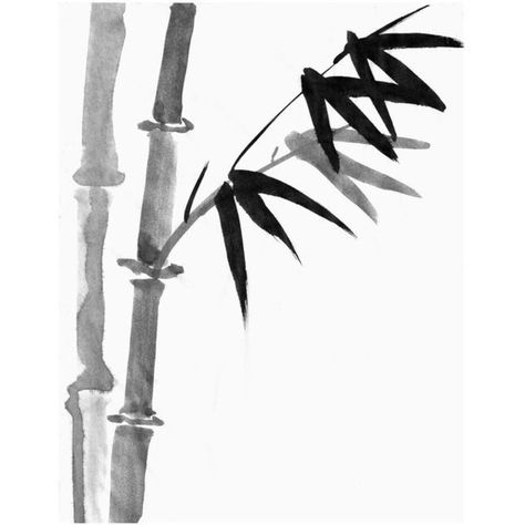 Sumi Bamboo Painting Sumi-e ink Drawing, Japanese Print, Asian Wall... ❤ liked on Polyvore featuring home, home decor, wall art, rice paper painting, ink drawing, bamboo wall art, bamboo home decor and ink painting Chinese Bamboo Plant, Drawing Japanese, Bamboo Painting, Bamboo Wall Art, Asian Wall Decor, Bamboo Tattoo, Chinese Bamboo, Sumi E Painting, Art Chinois