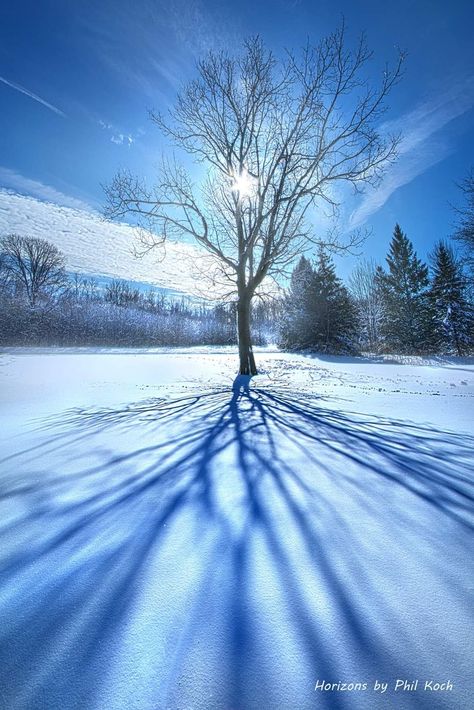 February Weather, Arctic Blast, February 6th, Landscape Photography Nature, Travel Pics, Winter Scenery, Winter Scenes, Nature Pictures, Beautiful Landscapes