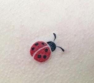 Colored Ladybug Tattoo, Frog And Ladybug Tattoo, Yellow Ladybug Tattoo, Ladybug Butterfly Tattoo, Flying Ladybug Tattoo, Ladybug Tatoos, Ladybug Flower Tattoo, Ladybug Tattoo Black And White, Cute Ladybug Tattoo