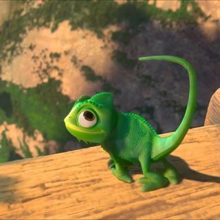 Pascal Tangled, Karma Chameleon, Tangled 2010, Illustration Story, Disney Artists, Walt Disney Animation, Walt Disney Animation Studios, Disney Tangled, Cartoon Pics