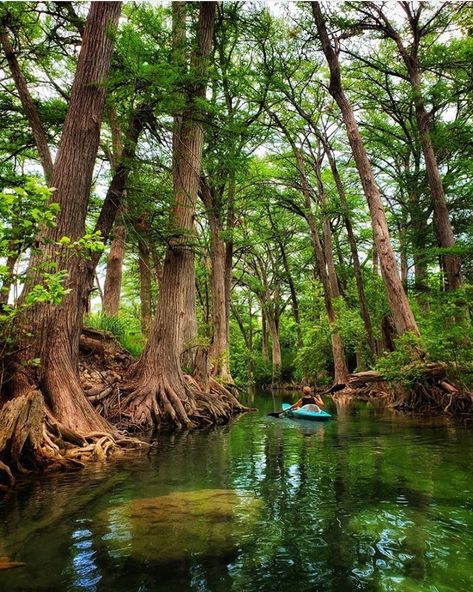 Instagram Texas on Instagram: “Looking for a little serenenity? Looks like @knicparr captured some while kayaking the Medina River with family. Guest host: @txreen Tag…” Medina River, Visit Austin, Anime Cartoon, Cartoon Art, Kayaking, Places To Go, Austin, Things To Do, Texas