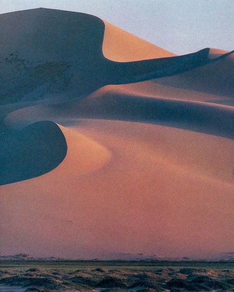 Vintage National Geographic, National Geographic Photography, Gobi Desert, National Geographic Magazine, Animal Science, National Geographic Photos, Travel Aesthetic, National Geographic, The Wind