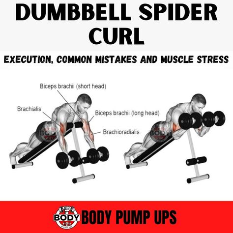 Dumbbell Spider Curl


Dumbbell Spider curls are a remarkable exercise for building the biceps because they produce an intense muscle contraction on every single rep.

Follow me @bodypumpup

##biceps #bicepsworkout #bicepsexercises  #thegym #gymmotivation #bicepsworkoutatgym  #workout #gym #bodybuilding #bigbicep #armsworkout  #biggerbiceps #dumbbellspidercurl  #spider #curl Spider Curls Workout, Workout At Gym For Beginners, Bicep Workout At Home, Spider Curls, Workout At Gym, Gym For Beginners, Bicep Workout, Biceps Brachii, Dumbbell Curls