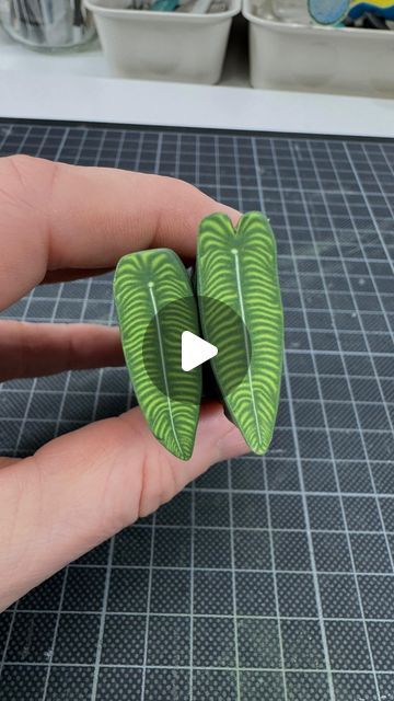 Astrid Wilk on Instagram: "Making my new ANTHURIUM VEITCHII miniature plant cane pattern from oven hardening polymer clay.  This plant is also called the King Anthurium. Maybe one of you knows why?! Please drop a comment. The pattern is created by staking bullseye cane with a skinner blend of different shades of green. So simple with a great effect. After modeling each leaf, the stripes and shades help create the depth effect of the characteristic leaf structure. Have fun creating 🪴  You’re asking a lot for process videos, so here is a brand new one. As always made from oven-hardening polymer clay.  #astridwilkdiy #polymerclaycane #polymerclaycanes #polymerclaytutorial #polymerton  #miniaturen #myfimo #miniaturemaking #artistsofinstagram #miniatures #smallthings  #ミニチュア #clayart #claycrea Polymer Clay Plant Decoration, King Anthurium, Polymer Clay Plants, Polymer Clay Skinner Blend, Polymer Clay Leaf Cane Tutorial, Clay Plants, Miniature Plant Tutorial, Anthurium Veitchii, Polymer Clay Mini Plants