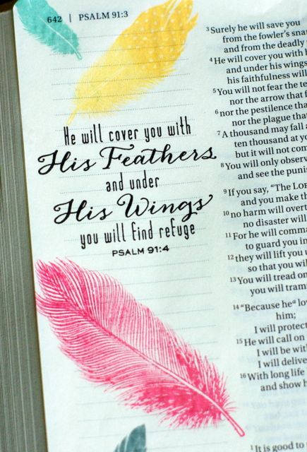 Psalm 91 Bible Journaling, Psalm 91 4, Bible Journal Notes, Psalm 91, Bible Art, Save Yourself, Bible Journaling, Bible Quotes, Psalms