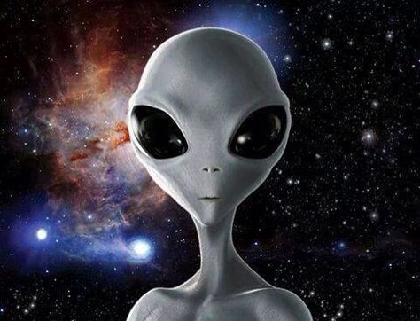 Cute ET Gray Alien, Ufo Art, Alien Encounters, Art Alien, Planet Tattoos, Grey Alien, Alien Aesthetic, Humanoid Creatures, Alien Tattoo