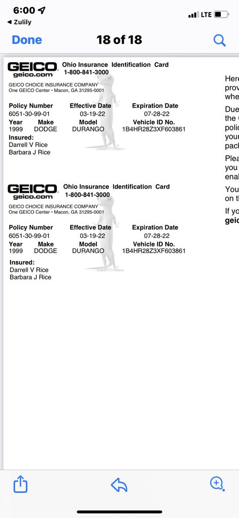 Geico Insurance Card Template, Fake Car Insurance Template, State Farm Insurance Card Template, Fake Insurance Card Template Free, Fake Auto Insurance Card Template, Auto Insurance Card Template, Insurance Card Template Pdf, Insurance Templates Free Printable, Fake Insurance Card Template