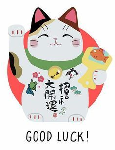 Eccentric Art, Money Cat, Art Humor, Kylie Lip Kit, Humor Quotes, Neko Cat, Japanese Cat, Ragdoll Kitten, Sleepy Cat