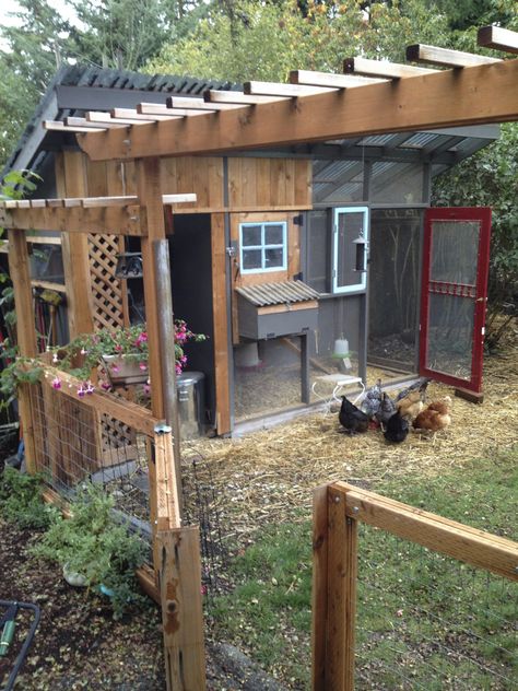 The Hen House Dog Facility, Chickens Breeds, Pet Chickens Breeds, Farm Pets, Urban Chicken, Backyard Chicken Coop, Backyard Coop, Backyard Chicken Farming, Coop Design