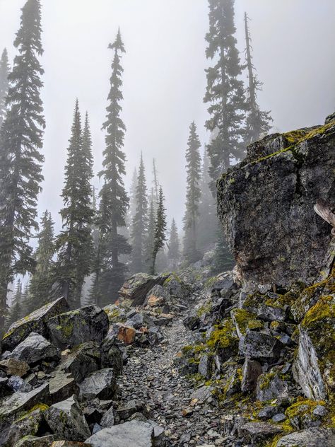 Spooky fog during hike to Kendall Knob. Washington State. [3024x4032][OC]  Click the link for this photo in Original Resolution.  If you have Twitter follow twitter.com/lifeporn5 for more cool photos.  Thank you author: https://bit.ly/2xcp2GW  Broadcasted to you on Pinterest by pinterest.com/sasha_limm  Have The Nice Life! Washington Trip, Mountain Vibes, Lake Resort, Background Ideas, Oregon Coast, Seattle Washington, Landscape Photographers, Fantasy Landscape, In The Mountains