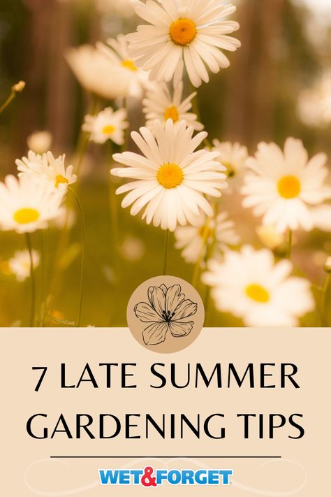 Try these 7 easy late summer gardening tips! Caring For Plants, Summer Gardening, Summer August, Ornamental Kale, Summer Vegetables, Makeover Tips, Fall Vegetables, Fall Garden Vegetables, Summer Plants