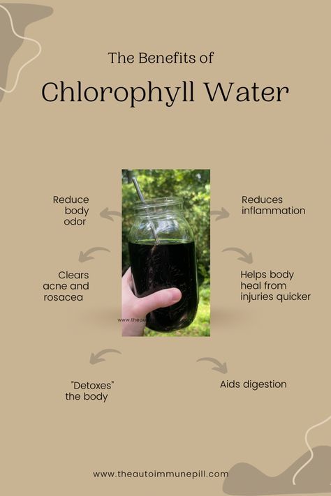 Benefits Of Chlorophyll, Chlorophyll Benefits, Chlorophyll Water, Body And Health, Body Inflammation, Herbs For Health, Body Healing, Health Knowledge, Natural Health Remedies