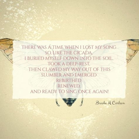 The Cicada Brooke M Carlson Cicada Quotes Funny, Cicada Quotes, Cicada Crochet, Cicada Poem, Apocalypse Ciggarates Lyrics, Cicada Specimen, Me Me Me Song, Losing Me, Poetry