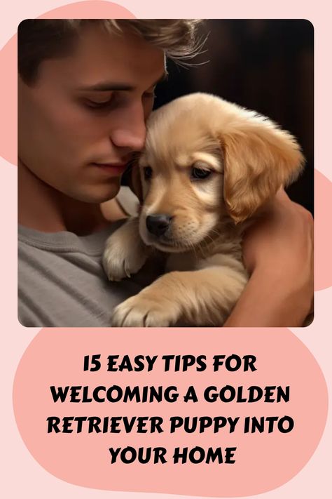 15 Easy Tips For Welcoming A Golden Retriever Puppy Into Your Home https://petsandfins.com/15-easy-tips-for-welcoming-a-golden-retriever-puppy-into-your-home Puppy Proofing House, Golden Retriever Care, Golden Retriever Grooming, Golden Retriever Training, English Golden Retrievers, Puppy List, New Puppy Checklist, Puppy Checklist, Puppies Tips