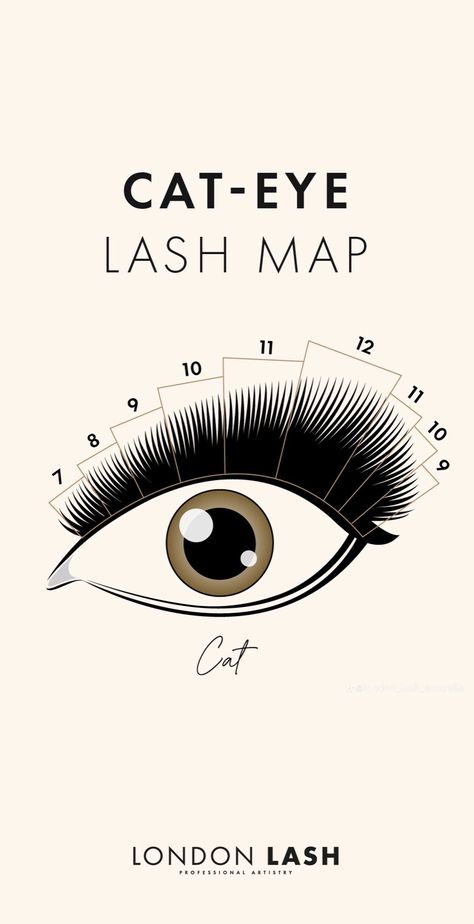 Lash Graphics, Easy Lashes, Extension Lashes, Lash Ideas, Lash Map, Lash Mapping, Lash Styles, Cat Eye Lash, Lash Salon