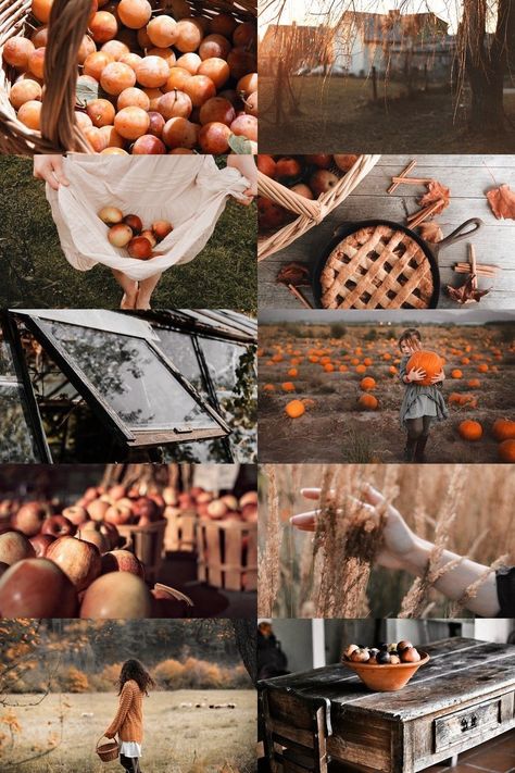 Harvest Aesthetic, Fall Aesthetics, Season Aesthetic, Fall Mood Board, Autumn Magic, Aesthetic Tumblr, Aesthetic Fall, Fall Feels, The Harvest