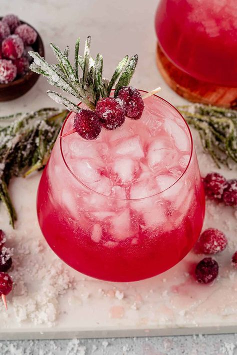 This crimson-red Cranberry Christmas Paloma is a festive and flavorful cocktail that puts a holiday twist on the traditional Paloma. If you're looking for the best tequila cocktail for a holiday party, this is it. Simple Syrup Drinks, Cranberry Simple Syrup, Cranberry Drinks, Paloma Cocktail, Rosemary Simple Syrup, Sugared Cranberries, Best Tequila, Tequila Cocktails, Christmas Appetizers