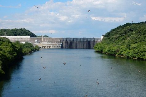 Douglas Dam (Dandridge) - 2021 All You Need to Know BEFORE You Go (with Photos) - Tripadvisor Dandridge Tennessee, Douglas Lake, What To Do Today, Weather Underground, To Do Today, Cabin Life, Gatlinburg, Travel Memories, In November