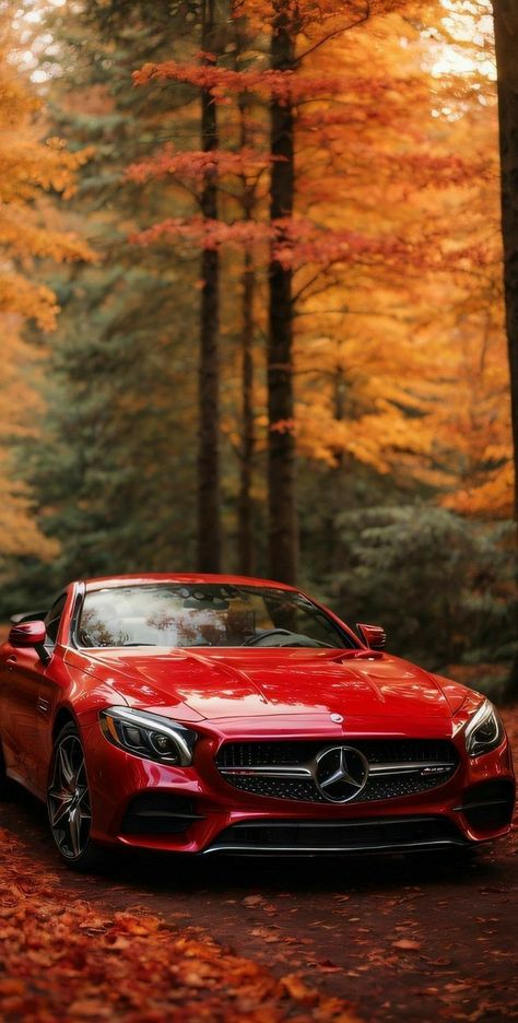 Red Benz, Mercedes Benz Wallpaper, Samsung Mobile Phone, Good Looking Cars, Lovely Car, Iphone Wallpaper Hd Nature, Floral Wallpaper Phone, Mercedes Car, Watch Wallpaper