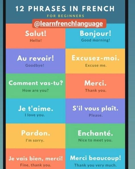 Common French Phrases, French Language Basics, Simple Phrases, Useful French Phrases, Learn French Beginner, French Basics, Learn Swedish, French Flashcards, Bahasa Jepun