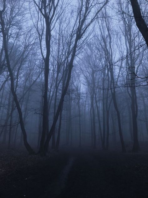 Relaxing Thoughts, Foggy Aesthetic, Swamp Scene, Cold Forest, Gothic Landscape, Dark Weather, Dark Naturalism, Dark Forest Aesthetic, Dark Landscape