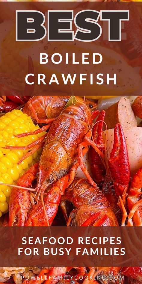 Learn how to boil crawfish on the stovetop with our comprehensive recipe guide. This easy method allows you to create a delicious crawfish boil right in your kitchen. Featuring bold Louisiana flavors, this recipe is perfect for any seafood lover. Our step-by-step instructions make it simple to prepare tender, flavorful crawfish. Whether you're new to cooking seafood or a seasoned pro, this recipe will help you achieve perfect results every time. Making Seafood Boil, Ingredients For Seafood Boil, Shrimp Boil Recipe Stovetop, Easy Shrimp Boil Recipe On Stove, Cajun Shrimp Boil Stovetop, How To Boil Crawfish, Boiled Crawfish, Seafood Boils, Boil Recipes