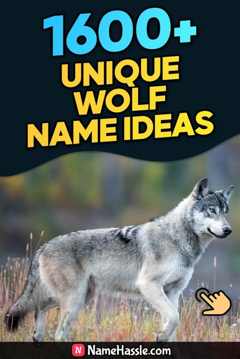 Cool And Catchy Wolf Names Ideas (Generator) Wolf Names Ideas, Wolf Name Generator, Wolf Names, Wolf Ranks, Names Generator, Funny Wolf, Twilight Wolf, List Of Animals, Names Ideas