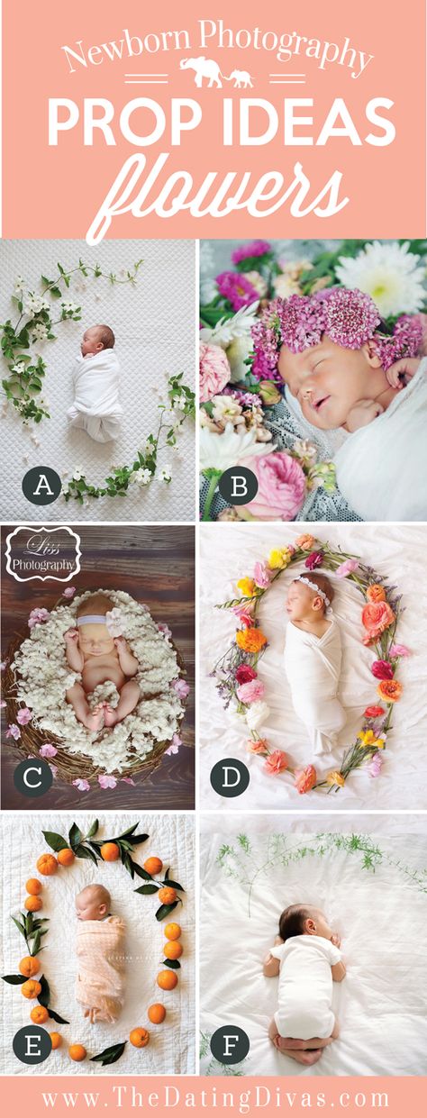 Ideas para fotos con recién nacidos y flores. Photo Bb, Foto Newborn, Baby Fotografie, Adorable Newborn, Baby Poses, Newborn Poses, Foto Baby, Foto Tips, Newborn Shoot