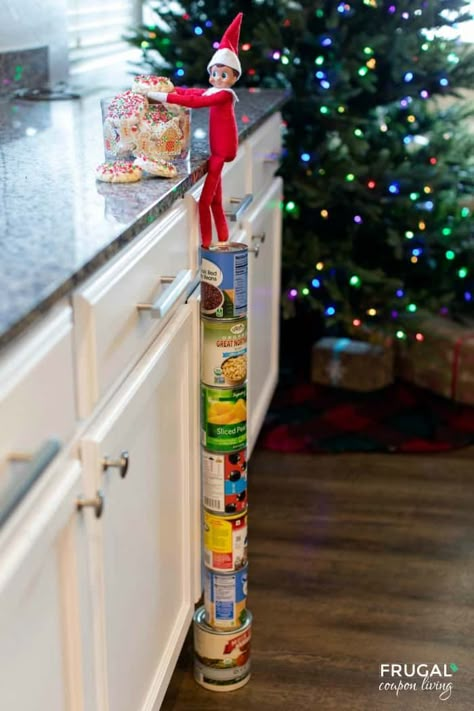 Take Elf on the Shelf to new heights. Elf on the Shelf Standing on Cans. Your Scout Elf can go anywhere by standing on cans. In this Elf idea, Elf got into the Kitchen Christmas cookies jar. New Elf on the Shelf ideas daily plus free Elf on the Shelf printables. #FrugalCouponLiving #ElfontheShelf #ElfontheShelfIdeas #ElfIdeas #funnyelfideas #funnyelfontheshelf #elfprintables #freeelfprintables #printables #freeprintables #ElfonaShelf #cans #cannedgoods #elfontheshelfhacks #elftricks #elftips Rock Climbing Elf On The Shelf, Elf Rock Climbing, Elf On The Shelf Gummy Bears, Easy Elf On The Shelf Ideas Kitchen, Elf On The Shelf Climbing, Diy Elf On The Shelf Ideas, Lazy Elf On The Shelf Ideas, Elves Ideas, Elf On The Shelf Printables