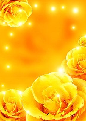 yellow,rose,flower,background,yellow rose background,yellow background,flowers,roses,rose background,cool yellow background,yellow aesthetic background Yellow Roses Background, Yellow Rose Background, Rose Flower Background, Peony Leaves, Watercolor Flower Illustration, Yellow Rose Flower, Green Wedding Flowers, Flower Background Images, Red Background Images