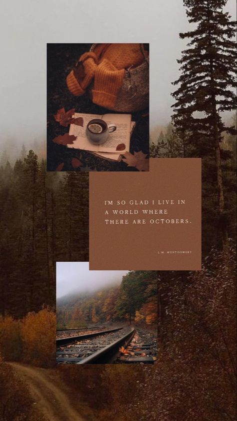 Autumn Aesthetic Cozy Wallpaper Phone, Iphone Lockscreen Fall, October Aesthetic Pictures, October Lockscreen Aesthetic, September Aesthetic Wallpaper Iphone, Cozy Fall Aesthetic Wallpaper Simple, Iphone Wallpaper Autumn Aesthetic, Aesthetic Wallpaper October, Fall Aethestic Wallpaper