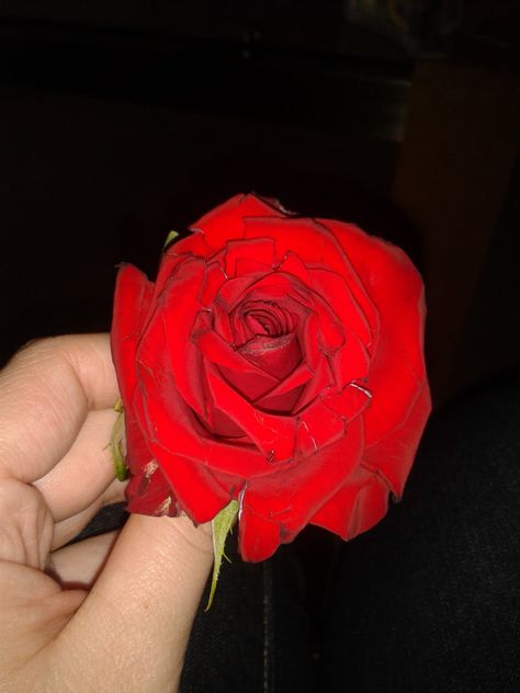 Red rose my Grandad gave me, from the KOSB Minden Day parade (2013) Rose Day Real Pic, Rose Giving Hand Couple, Rose Day Snapchat, Rose Day Aesthetic, Flower In Hand Photography, Rose Pics Flowers, Rose In Hand Snapchat, Flower In Hand Aesthetic, Aesthetic Rose Pictures