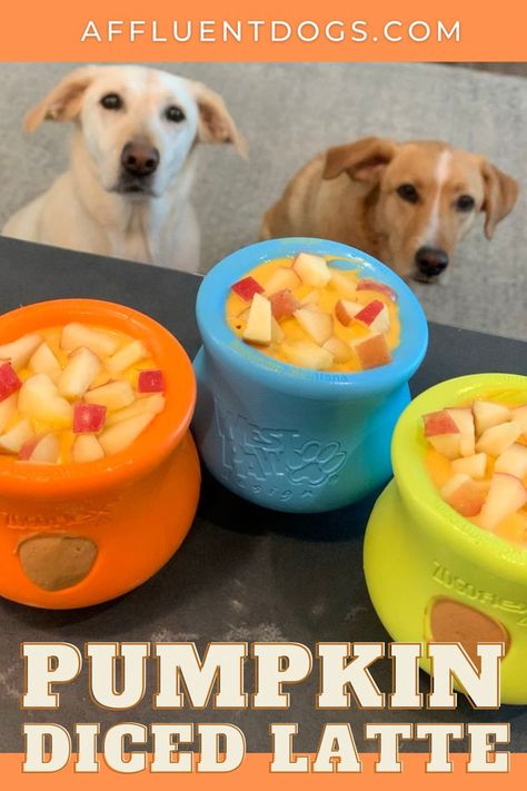 Two Labradors looking over a new recipe for West Paw Toppl Dog Lick Bowls, Frozen Lick Bowl For Dogs, Lick Mat Recipes Dog Frozen, Toppl Dog Recipes, Paw Pumpkin, Chew Toys For Dogs, Kong Recipes, Boarding Facility, Pet Treats Recipes