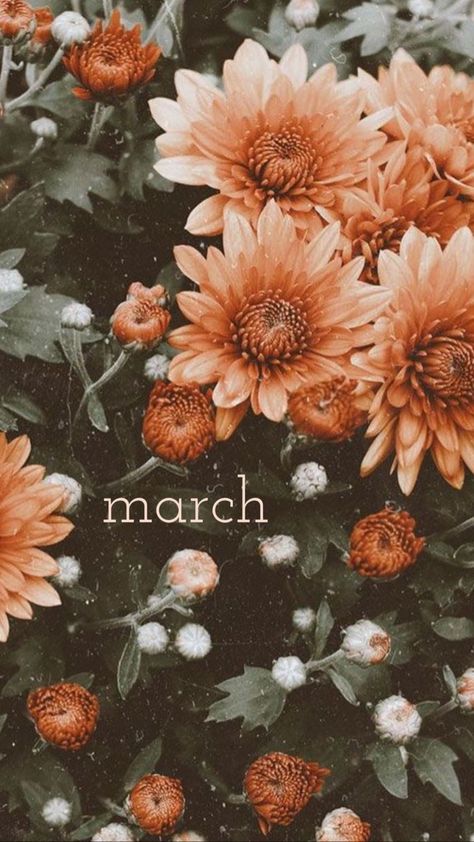 Orange, Flowers, Green, White, Black, Instagram