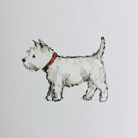 Terrier Tattoo, Dog Watercolor Painting, Puppy Sketch, Dog Sketch, 강아지 그림, Westie Dogs, West Highland White, White Terrier, West Highland Terrier