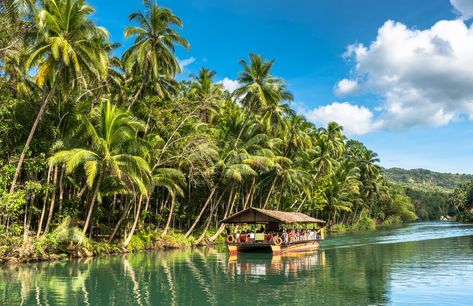 Loboc River Cruise Alona Beach, Coconut Beach, Philippines Travel Guide, Bohol Philippines, Puerto Princesa, River Cruise, Bohol, Philippines Travel, Island Tour