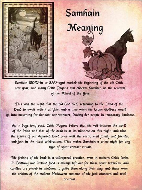 Samhain meaning Samhain Traditions, Wiccan Sabbats, Samhain Halloween, Wicca Witchcraft, Pagan Witch, Under The Moon, Beltane, Samhain, Spell Book